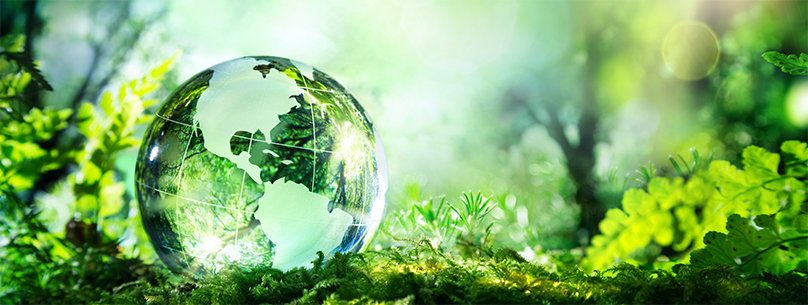 Sustainability