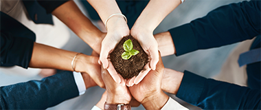Browse environmental policy