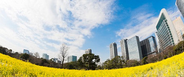 CSR Initiatives