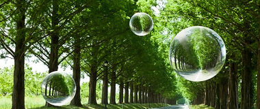 Environmental Policy, Environmental Report
