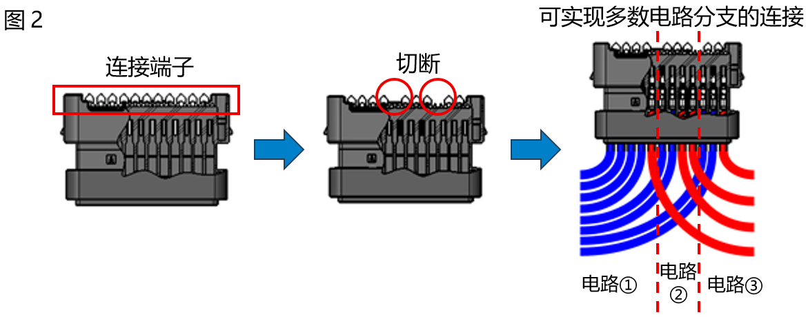 图2