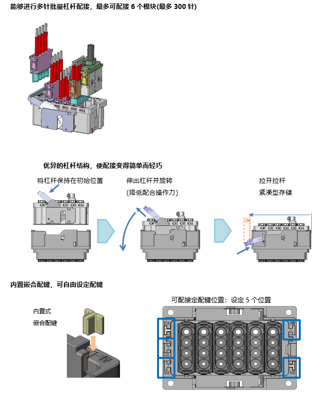 KN06特 征