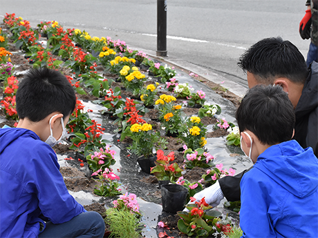 Cleanup and flower planting activities