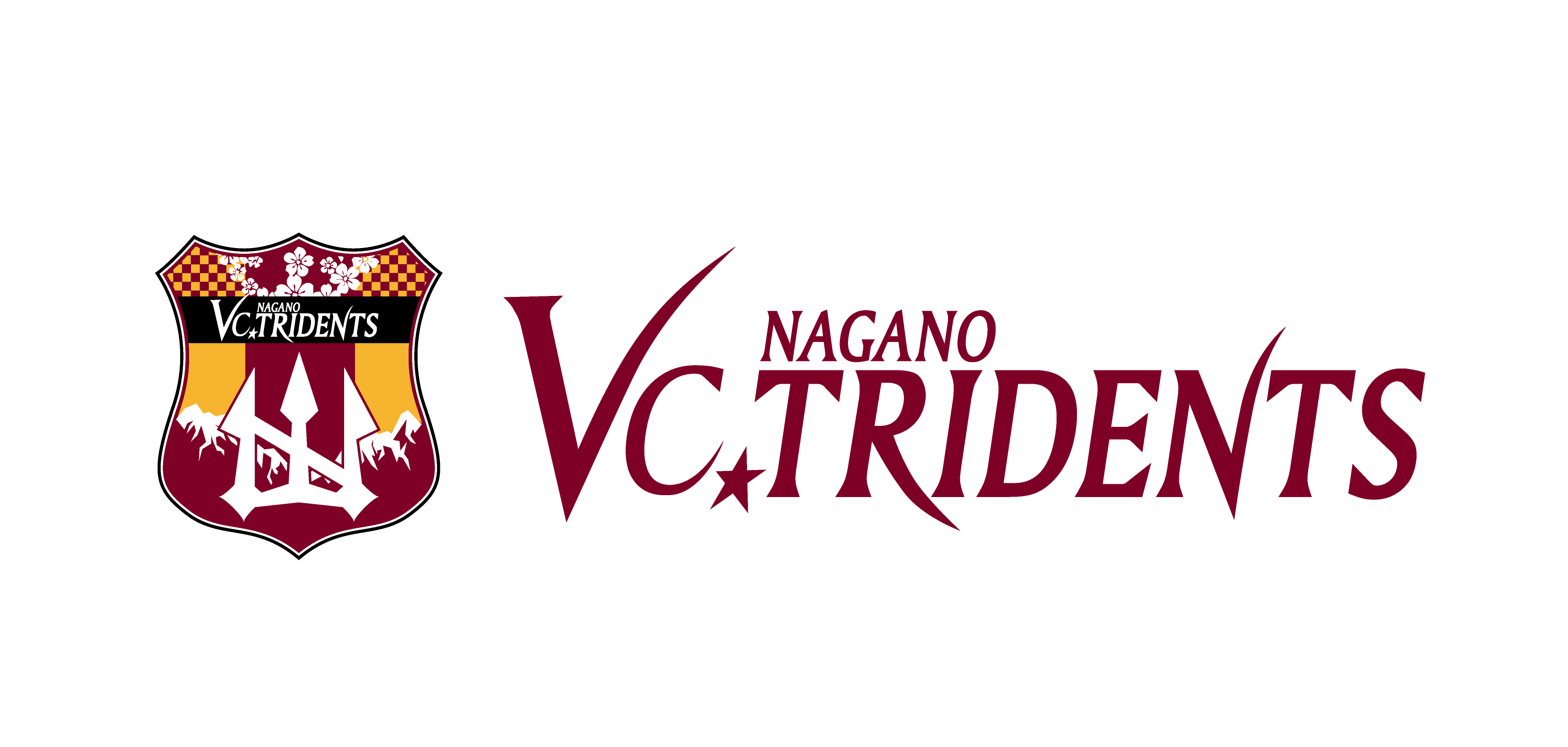 VC長野トライデンツ