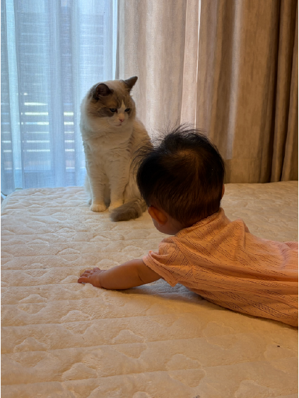 子どもと一緒に、成長する日々。