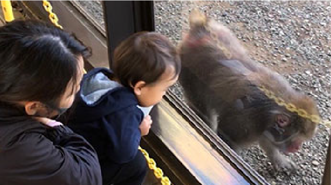 家族で過ごす時間を最優先